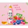 康师傅莓果红茶500ml